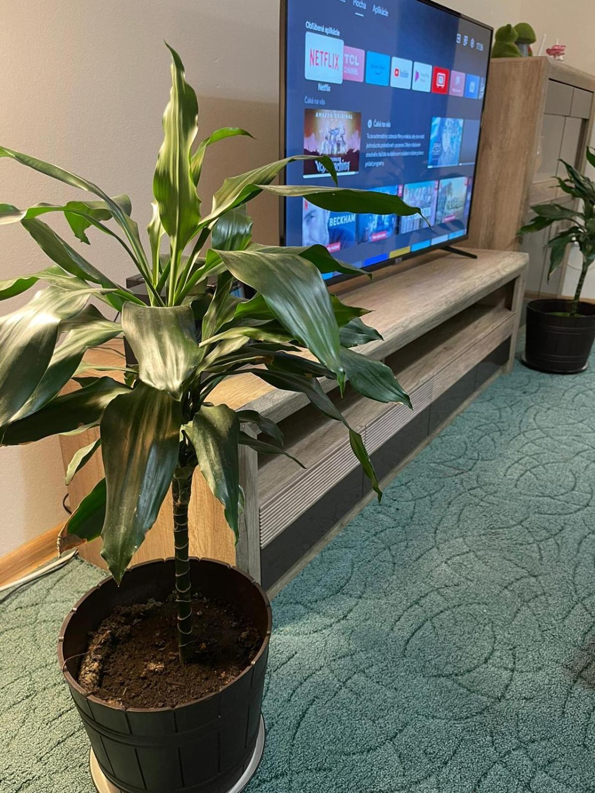 Velky Apartman Bratislava Dış mekan fotoğraf